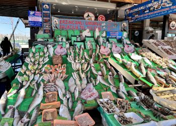 Balık tezgahlarında çeşit çok, balık az