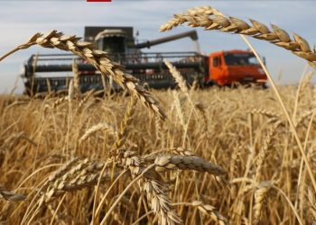 Dünya ülkeleri kendi “ekmeğinin” derdinde