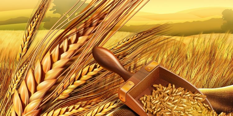Hububat ve bakliyatçılardan 1.8 milyar dolarlık ihracat