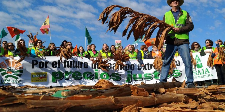 İspanyol çiftçilerden “maliyet” eylemi