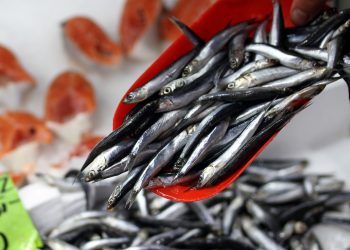 Hamsi ihracatından 8 milyon dolar oltaya takıldı