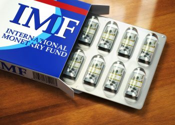 IMF kamu borcunda düşüş beklentisinde