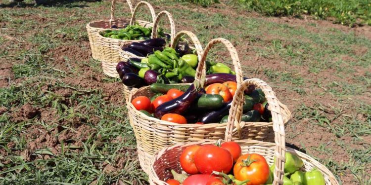 Ürün takibine yönelik dijital sistem planı
