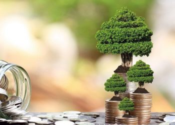 Türkiye’ye 500 milyon avroluk yeşil finansman