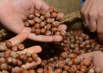 8 ayda 1.6 milyar dolarlık kazanç