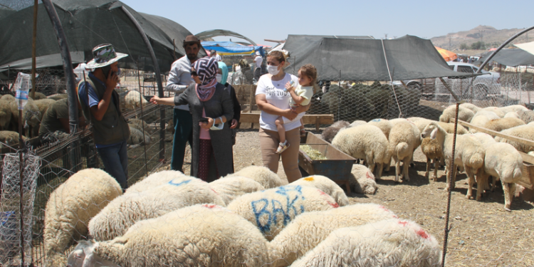 Yaklaşan Kurban Bayramı Vatandaşı nasıl “ET”kileyecek?