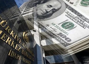 Devletin kağıtlarını özendirme projesi