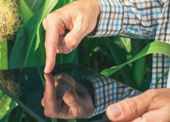 Tarımsal AR-GE çalışmalarına 50 milyon liralık bütçe