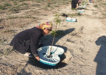 Çölleşmiş araziler “Ekobox” ile tarıma kazandırılacak