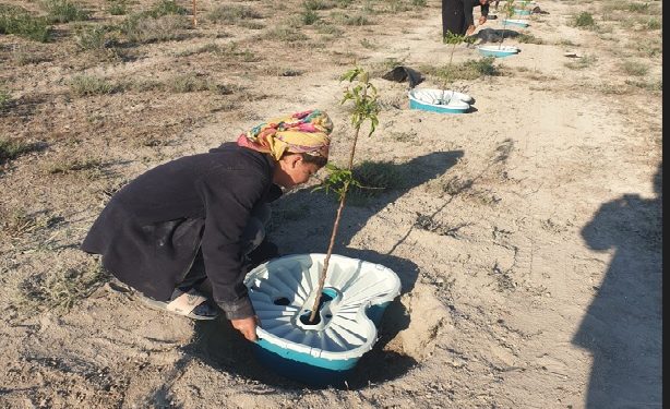 Çölleşmiş araziler “Ekobox” ile tarıma kazandırılacak