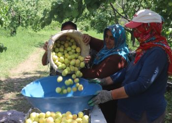 Yaş sebze ve meyvede Rusya başı çekiyor