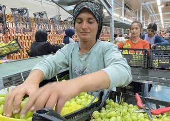 Bağda hasat dönemi tezgahları canlandırıyor