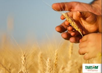 TARSİM kapsamında 12,7 milyar lira devlet prim desteği sağlandı