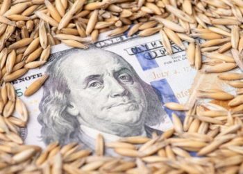 Tahıl anlaşması küresel gıda fiyatını geriletti