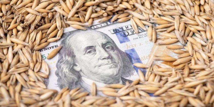 Tahıl anlaşması küresel gıda fiyatını geriletti