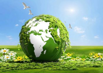 Tarım ve endüstriyel orman artıkları elektrik enerjisine dönüşüyor