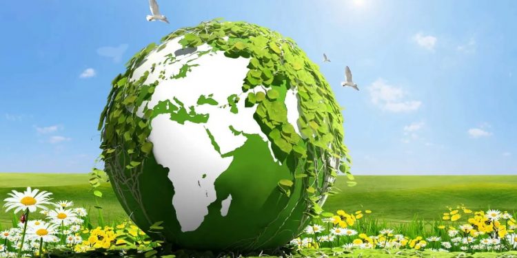 Tarım ve endüstriyel orman artıkları elektrik enerjisine dönüşüyor