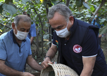 Fındıkta lisanslı depo kurma çalışmaları