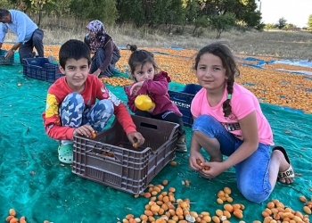 Tarım sektörü ihracatta ön saflarda yer alıyor