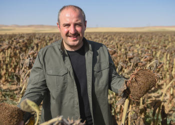 Yerli ve milli tohumla stratejik ürün hamlesi