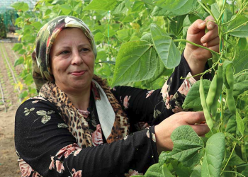 Çiftçi Kayıt Sistemi’nde kadın ağırlığı artıyor