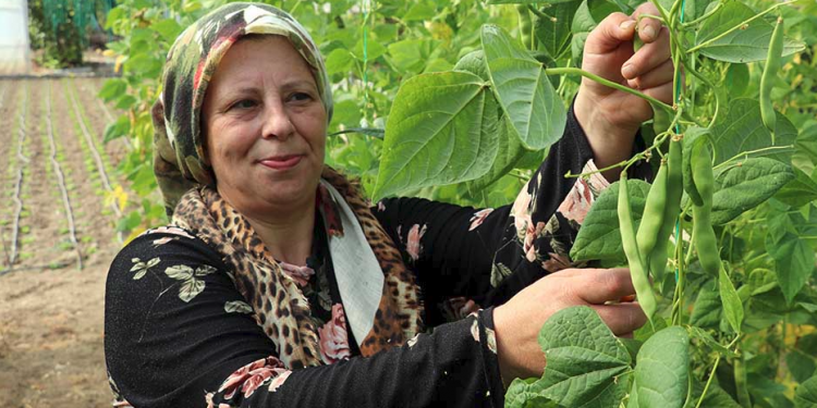 Çiftçi Kayıt Sistemi’nde kadın ağırlığı artıyor