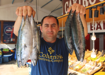 Marmaralı balıkçılar sezondan memnun