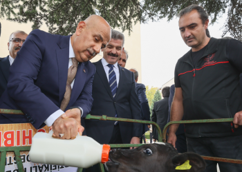 Taşınan tahılın yüzde 63’ü Avrupa ülkelerine sevk edildi