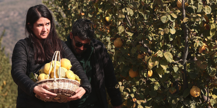 Rekolte artışıyla birlikte ihracat artışı bekleniyor