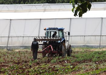 Tarım yatırımlarında destek tutarları artırıldı