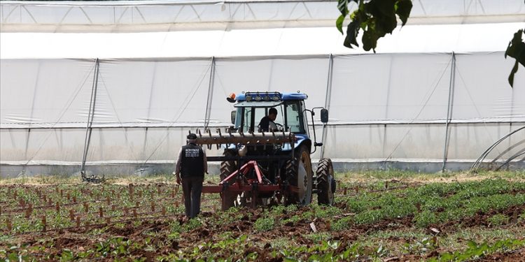 Tarım yatırımlarında destek tutarları artırıldı
