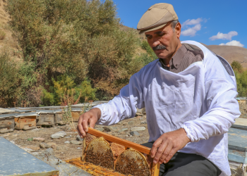 Bal ormanı kanalıyla üretimde “ballı” artış
