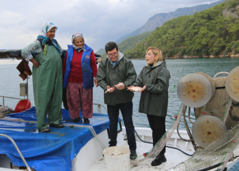 60 bin yavru balık Muğla’nın sularında