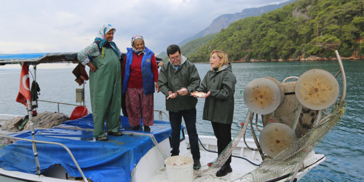 60 bin yavru balık Muğla’nın sularında
