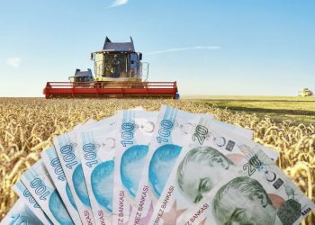 Tarım Kredi ne kadar aldı ürüne ne kadar verdi?