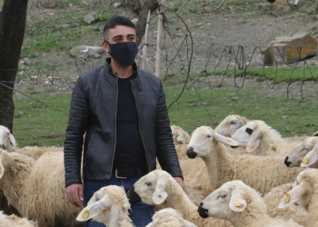 Ziraat Bankası’ndan hayvancılığa “büyük” destekler geliyor