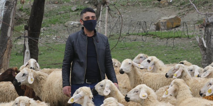 Ziraat Bankası’ndan hayvancılığa “büyük” destekler geliyor