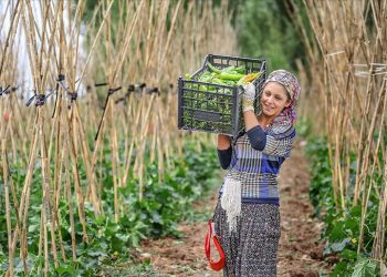 Tarım yatırımlarına teşvik 10 yılda katlanarak büyüdü