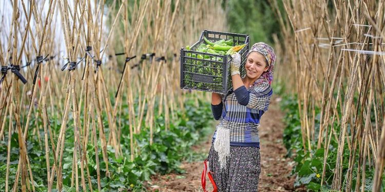 Tarım yatırımlarına teşvik 10 yılda katlanarak büyüdü