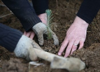 Tarım ve Orman Bakanlığı 1613 personel alacak