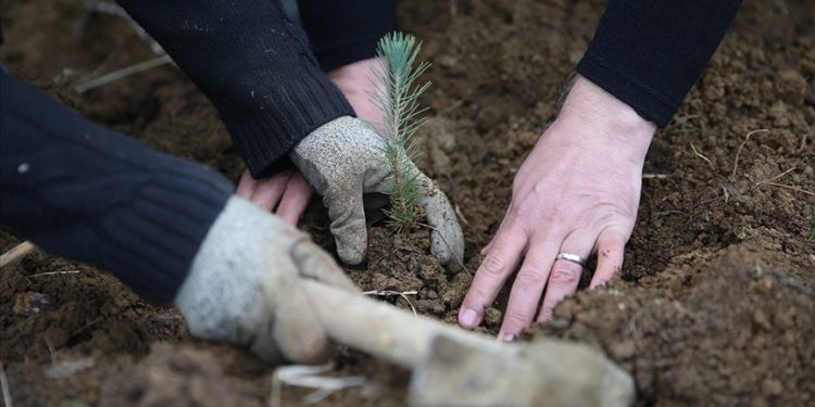 Tarım ve Orman Bakanlığı 1613 personel alacak