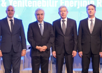 Türkiye yenilenebilir enerjide 5 yılda yüzde 65 büyüyebilir