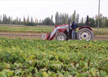 Gübre ve yem fiyatının sabitlenmesi üreticilere olumlu yansıyacak