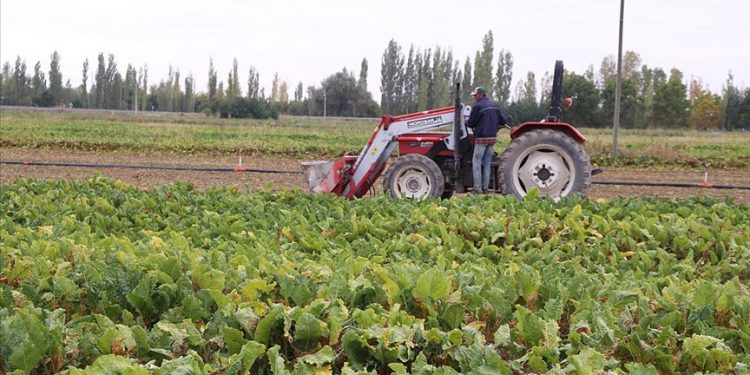 Gübre ve yem fiyatının sabitlenmesi üreticilere olumlu yansıyacak