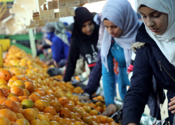 Sebze-meyve ihracatında 2023 hedefine odaklanıldı