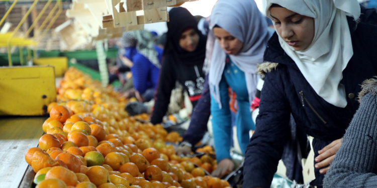 Sebze-meyve ihracatında 2023 hedefine odaklanıldı