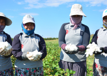 Antalya pamuk piyasasında fiyat memnun edecek mi?