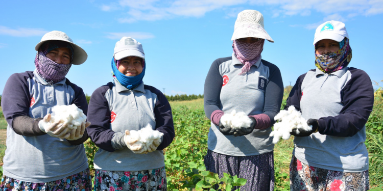 Antalya pamuk piyasasında fiyat memnun edecek mi?