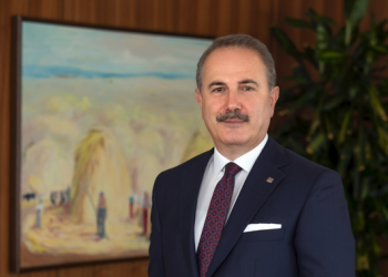 Elimizi taşın altına koymaktan çekinmeyiz