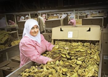 Ege tarımında hedef 10 milyar dolara ulaşmak